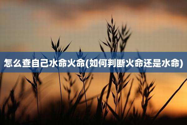 怎么查自己水命火命(如何判断火命还是水命)