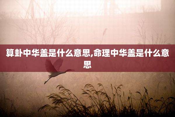 算卦中华盖是什么意思,命理中华盖是什么意思