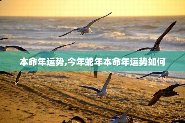 本命年运势,今年蛇年本命年运势如何
