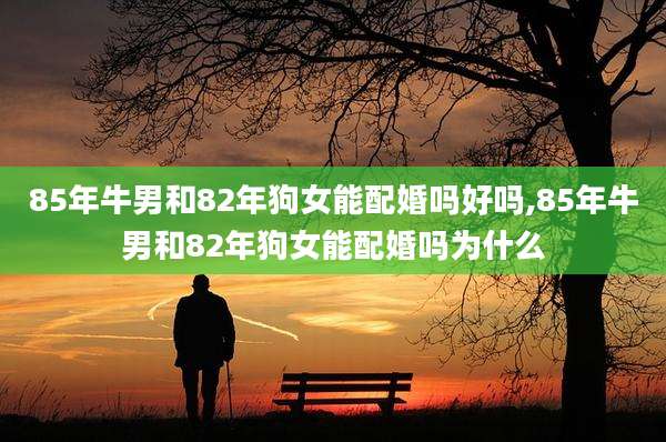 85年牛男和82年狗女能配婚吗好吗,85年牛男和82年狗女能配婚吗为什么