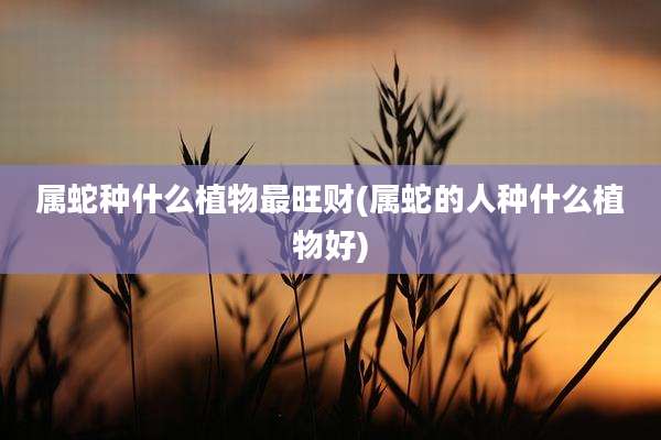 属蛇种什么植物最旺财(属蛇的人种什么植物好)