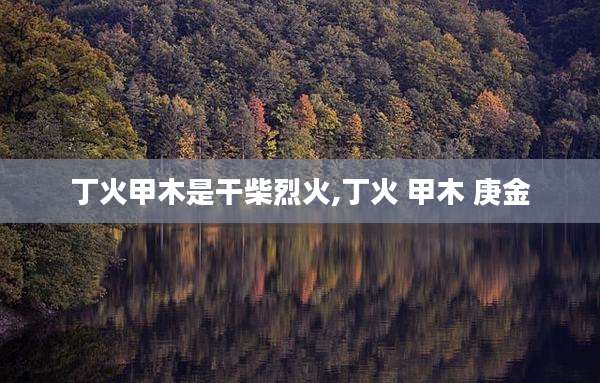 丁火甲木是干柴烈火,丁火 甲木 庚金