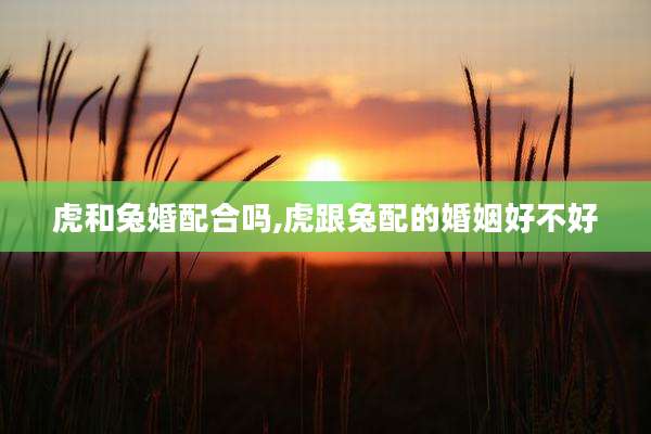虎和兔婚配合吗,虎跟兔配的婚姻好不好