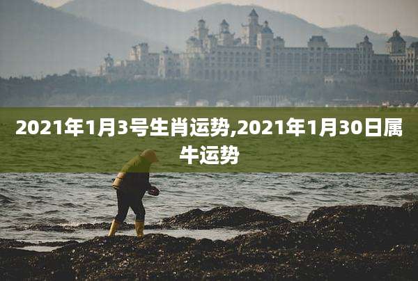 2021年1月3号生肖运势,2021年1月30日属牛运势