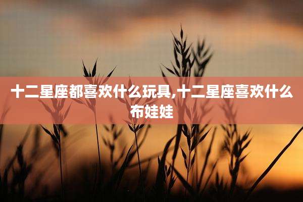 十二星座都喜欢什么玩具,十二星座喜欢什么布娃娃
