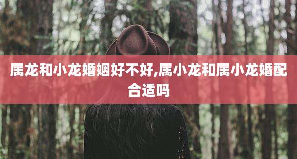 属龙和小龙婚姻好不好,属小龙和属小龙婚配合适吗