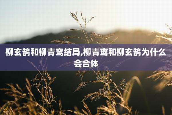 柳玄鹄和柳青鸾结局,柳青鸾和柳玄鹄为什么会合体