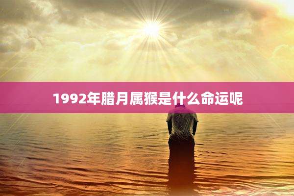 1992年腊月属猴是什么命运呢