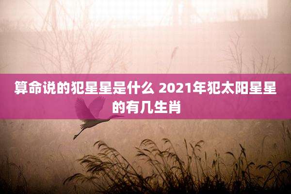 算命说的犯星星是什么 2021年犯太阳星星的有几生肖