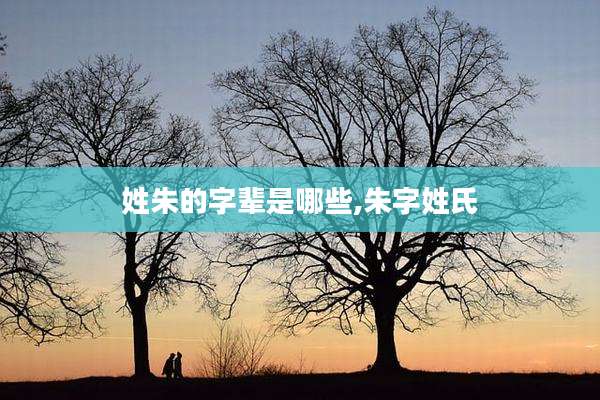 姓朱的字辈是哪些,朱字姓氏