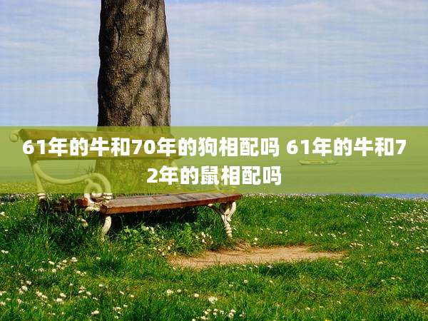 61年的牛和70年的狗相配吗 61年的牛和72年的鼠相配吗
