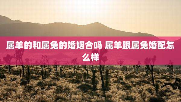 属羊的和属兔的婚姻合吗 属羊跟属兔婚配怎么样