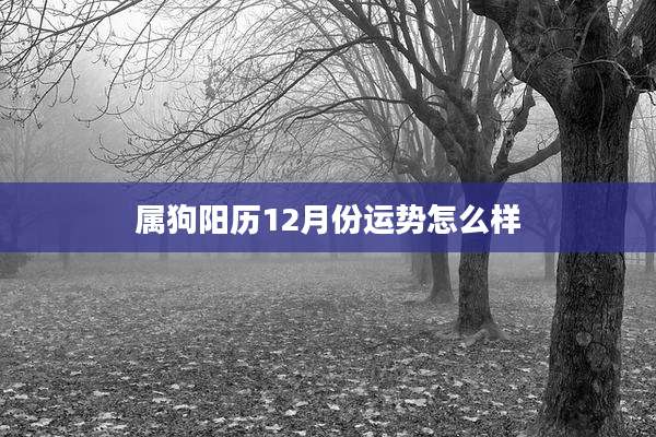 属狗阳历12月份运势怎么样