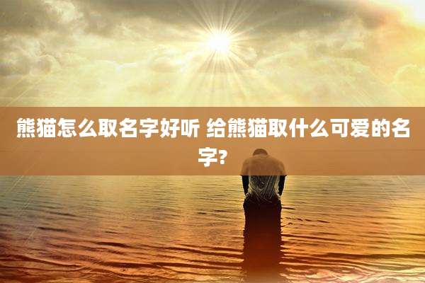 熊猫怎么取名字好听 给熊猫取什么可爱的名字?