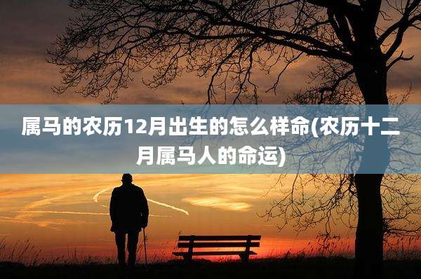 属马的农历12月出生的怎么样命(农历十二月属马人的命运)