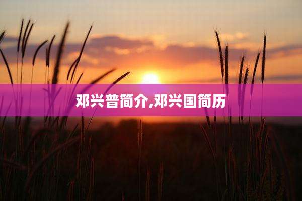 邓兴普简介,邓兴国简历