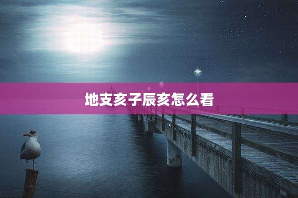 地支亥子辰亥怎么看