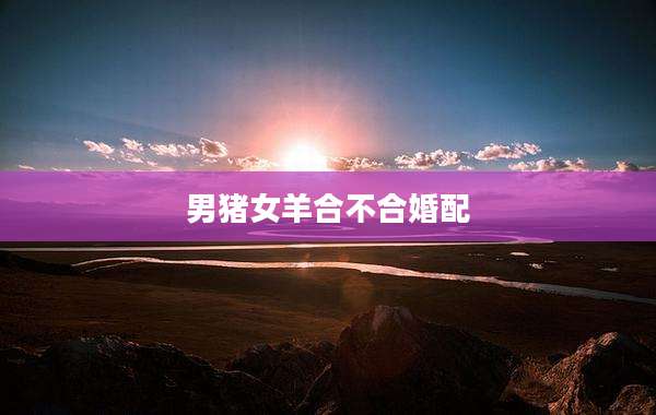 男猪女羊合不合婚配
