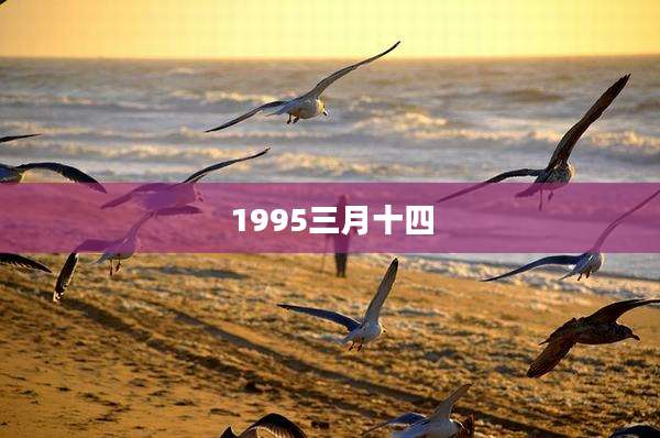 1995三月十四
