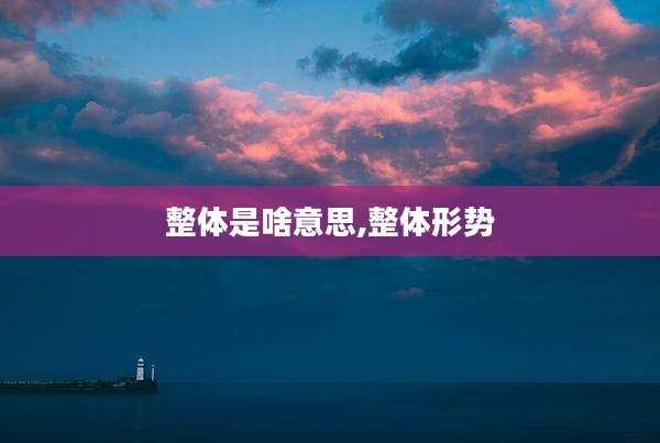 整体是啥意思,整体形势
