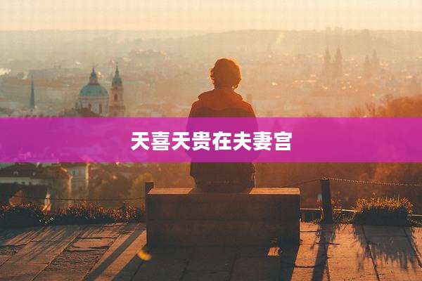 天喜天贵在夫妻宫