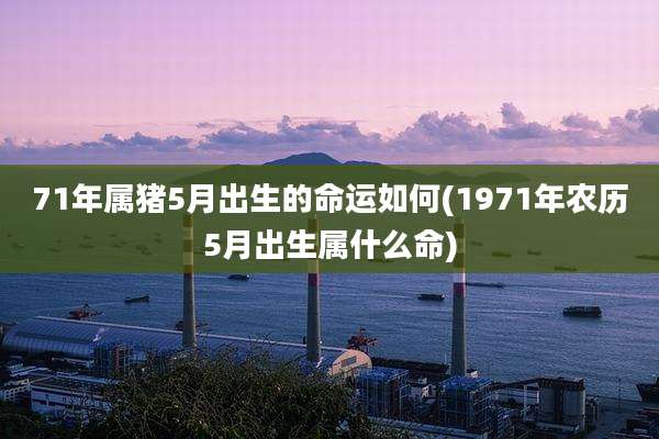 71年属猪5月出生的命运如何(1971年农历5月出生属什么命)