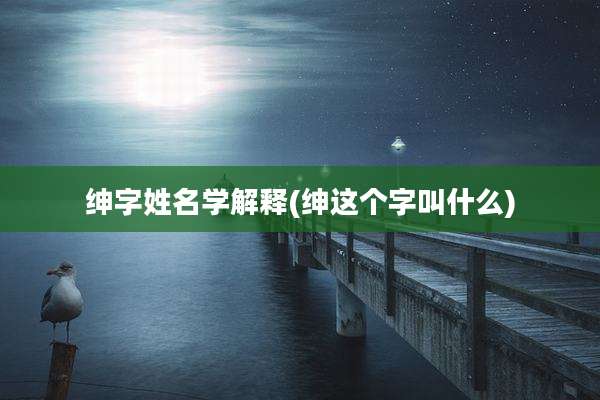 绅字姓名学解释(绅这个字叫什么)