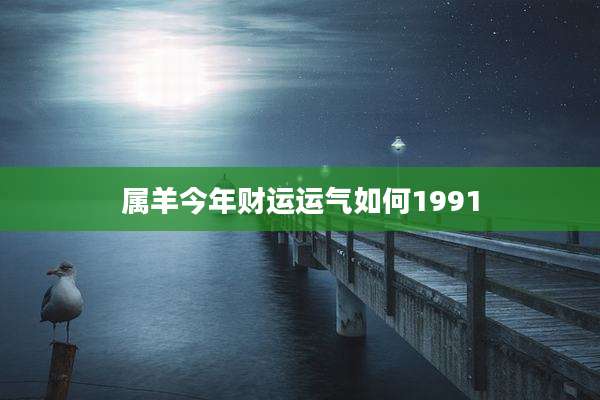 属羊今年财运运气如何1991