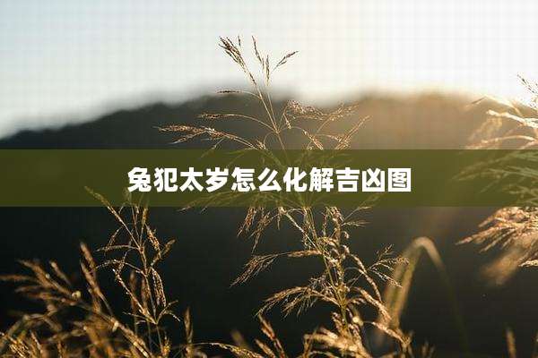 兔犯太岁怎么化解吉凶图