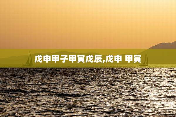 戊申甲子甲寅戊辰,戊申 甲寅