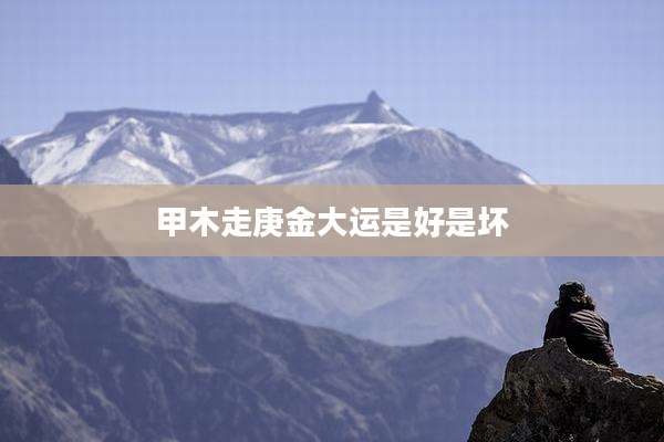 甲木走庚金大运是好是坏