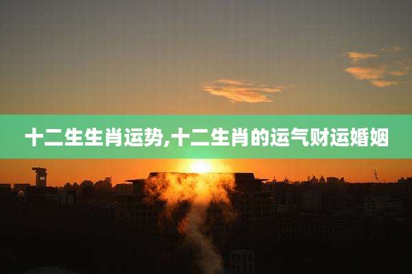 十二生生肖运势,十二生肖的运气财运婚姻