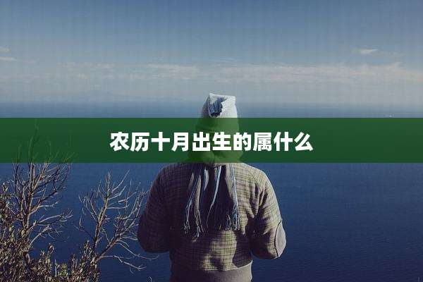 农历十月出生的属什么