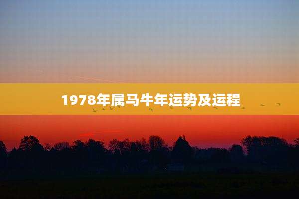 1978年属马牛年运势及运程