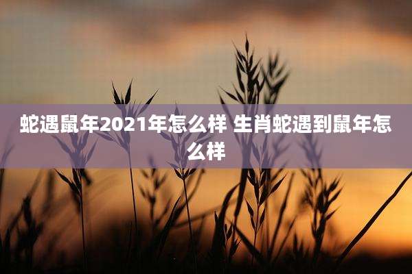 蛇遇鼠年2021年怎么样 生肖蛇遇到鼠年怎么样