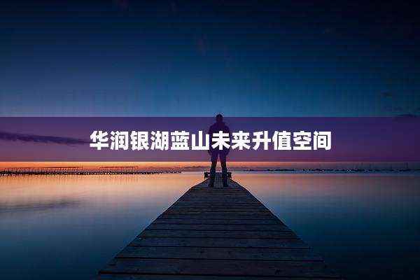 华润银湖蓝山未来升值空间
