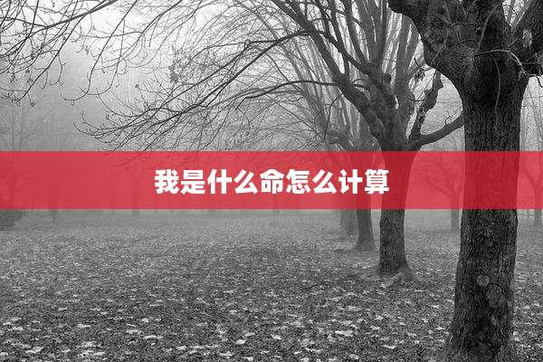 我是什么命怎么计算