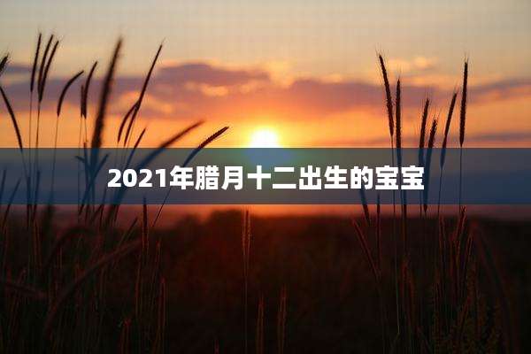 2021年腊月十二出生的宝宝