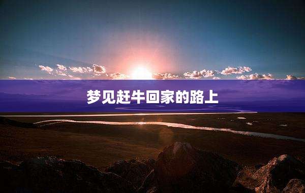 梦见赶牛回家的路上