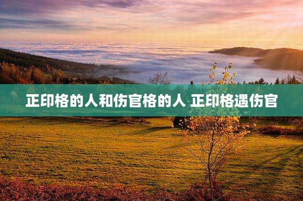 正印格的人和伤官格的人 正印格遇伤官