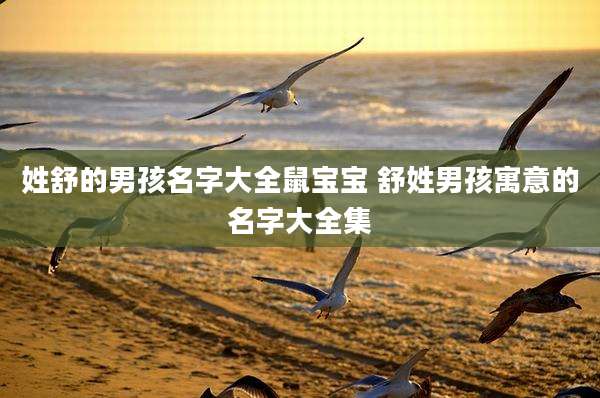 姓舒的男孩名字大全鼠宝宝 舒姓男孩寓意的名字大全集