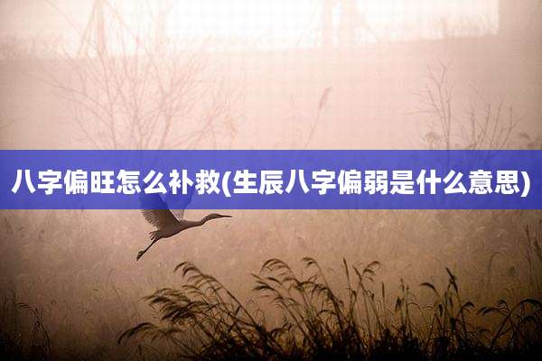 八字偏旺怎么补救(生辰八字偏弱是什么意思)