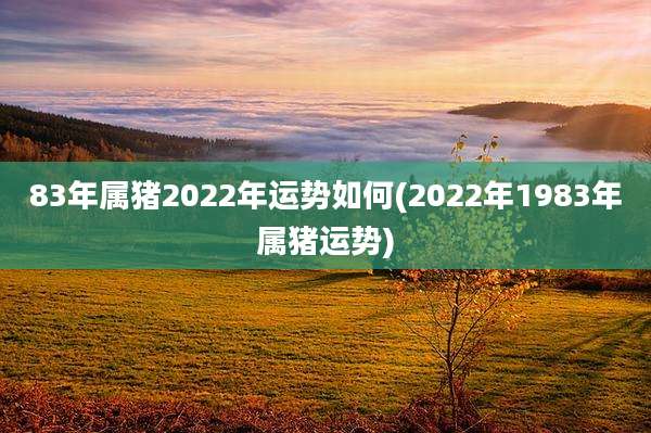 83年属猪2022年运势如何(2022年1983年属猪运势)