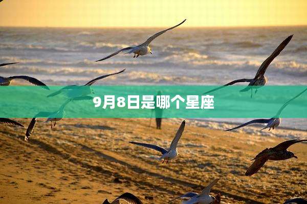 9月8日是哪个星座