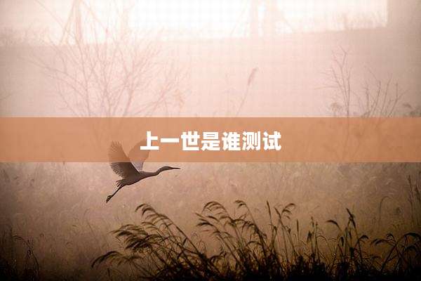 上一世是谁测试