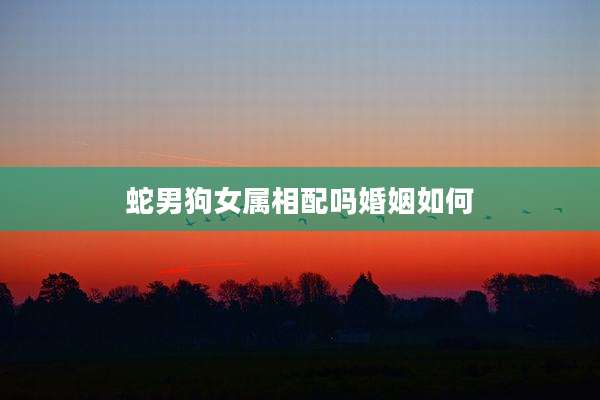 蛇男狗女属相配吗婚姻如何