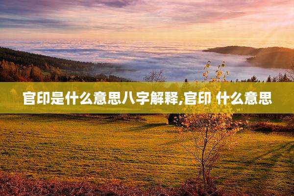 官印是什么意思八字解释,官印 什么意思