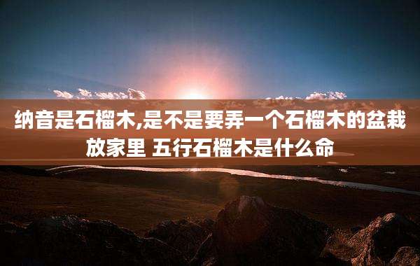 纳音是石榴木,是不是要弄一个石榴木的盆栽放家里 五行石榴木是什么命