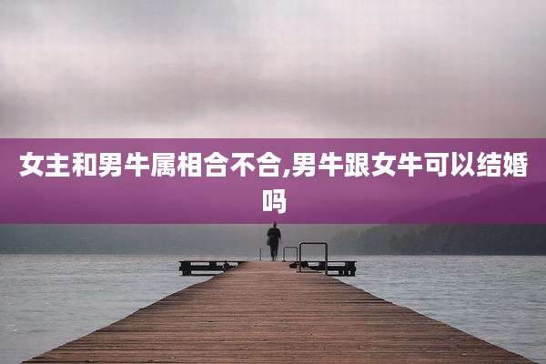 女主和男牛属相合不合,男牛跟女牛可以结婚吗