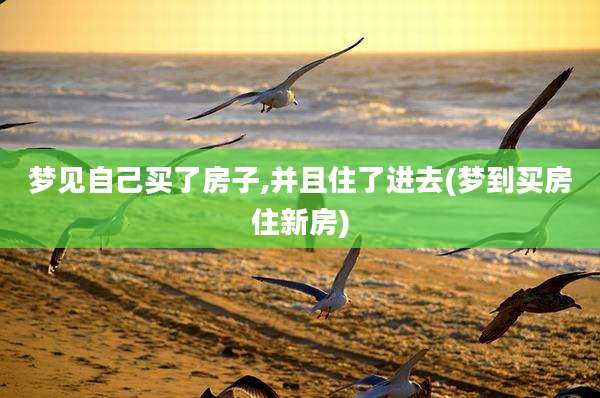 梦见自己买了房子,并且住了进去(梦到买房住新房)